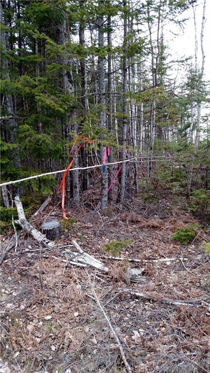 Lot #15 Prescott Brook Springfield, ME 04487 - Photo 3 of 8 Photo