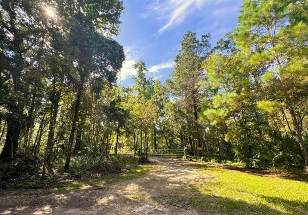 0 Clayton Road Chiefland, FL 32626 - Photo 21 of 23