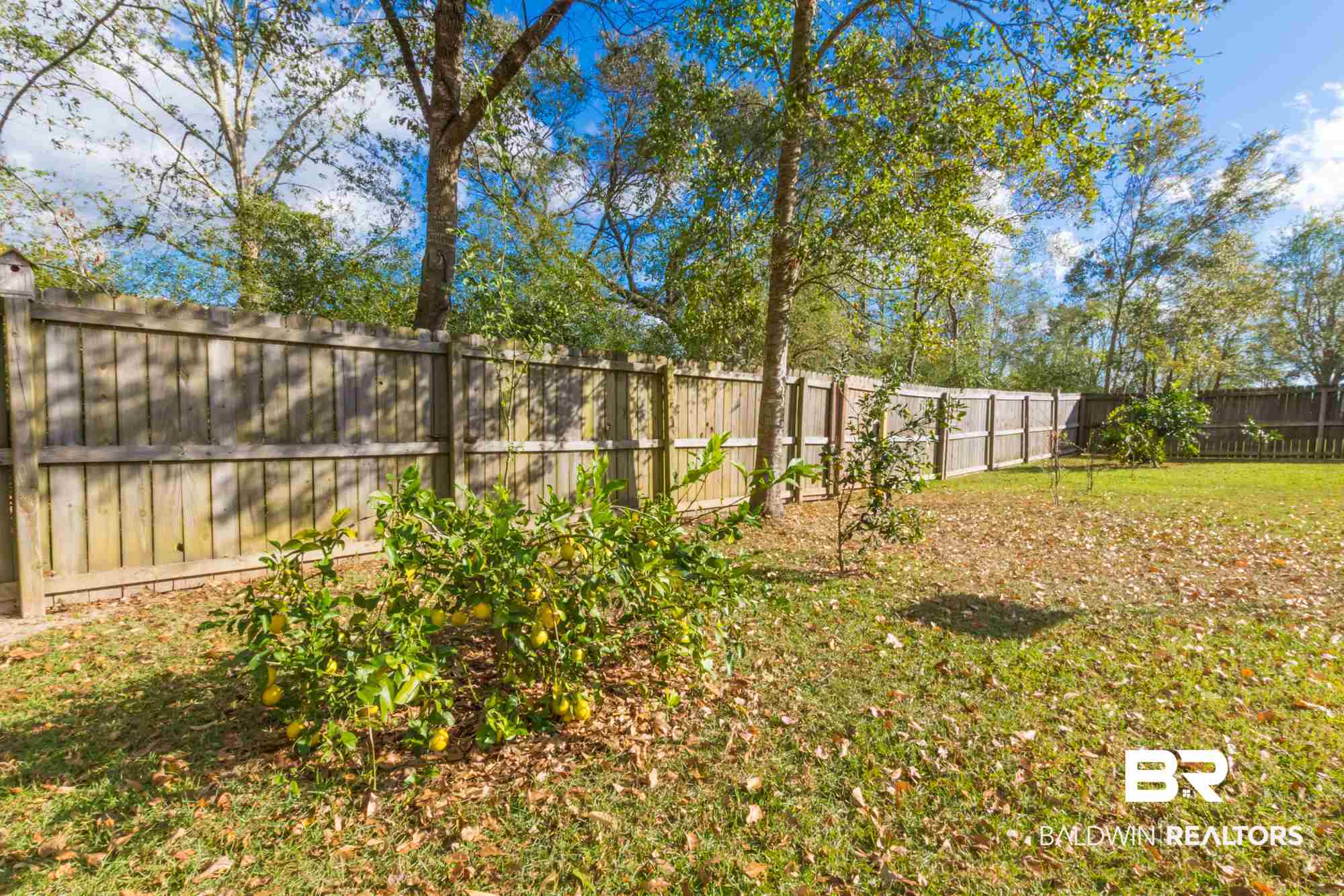 238 Meadow Run Loop East Foley, AL 36535 - Photo 22 of 43 Gallery Image 22