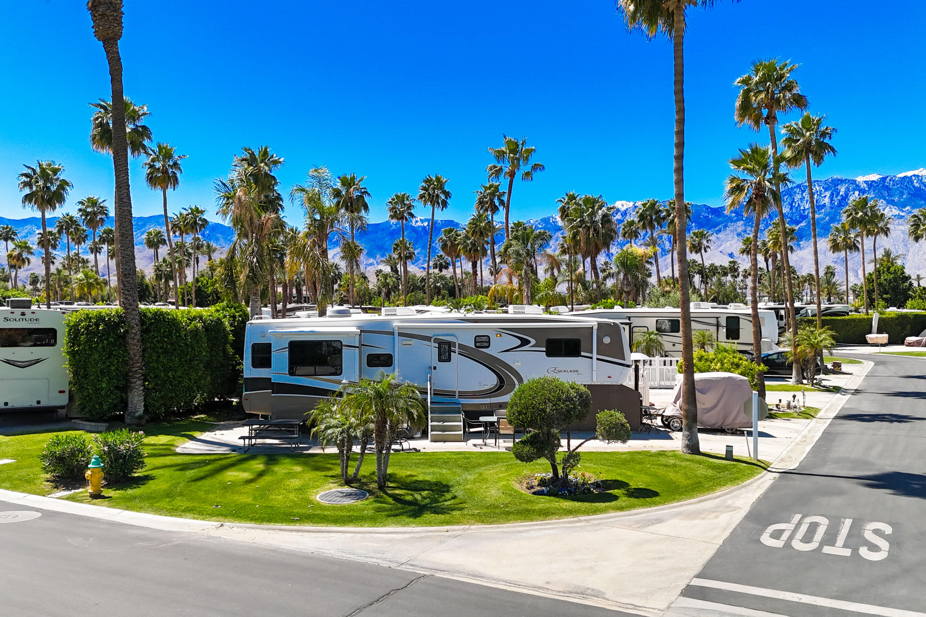 a view of a house with a yard and potted plants