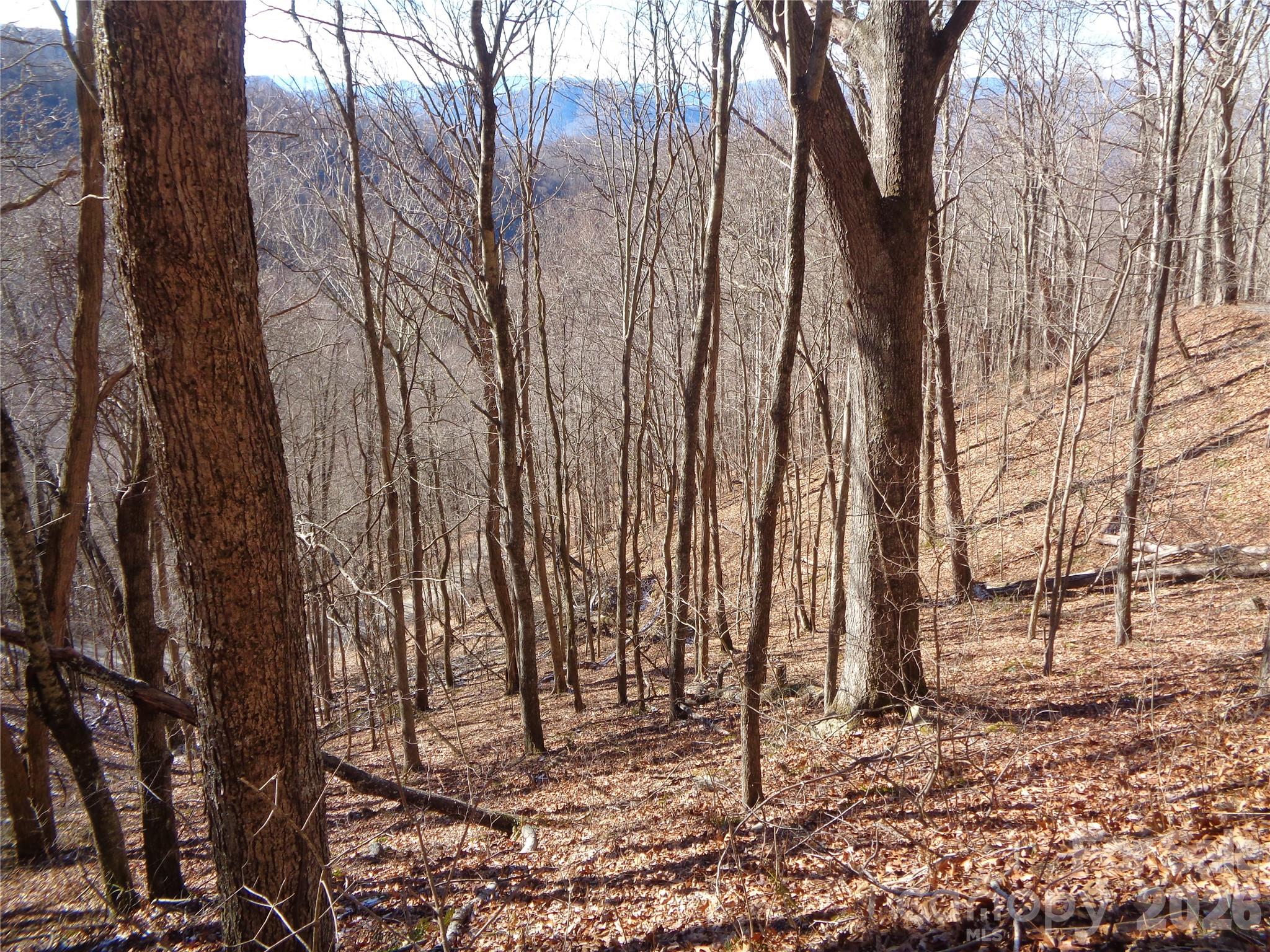 0 Listening Cove, Unit 41 Clyde, NC 28721 - Photo 2 of 11