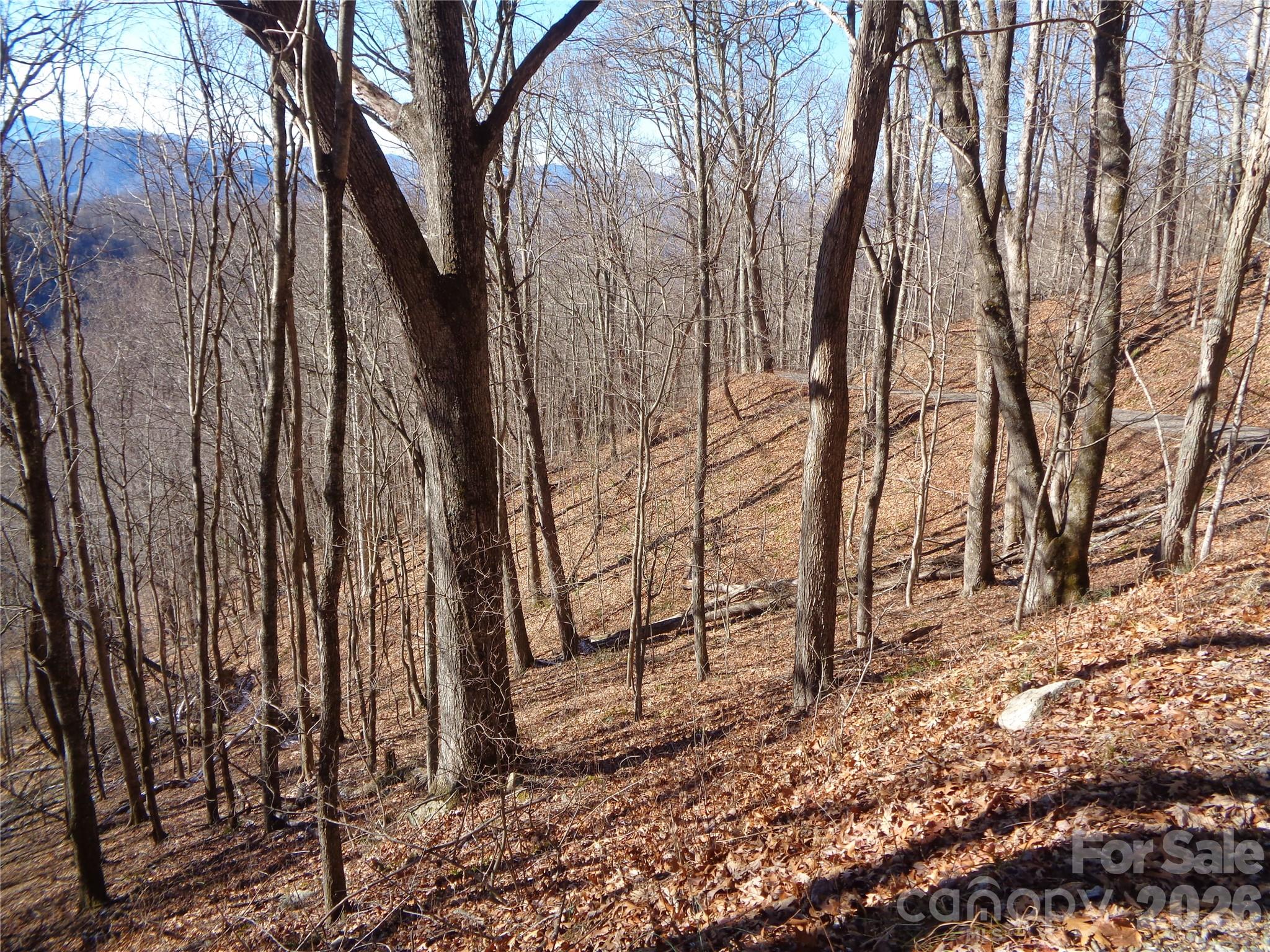 0 Listening Cove, Unit 41 Clyde, NC 28721 - Photo 3 of 11