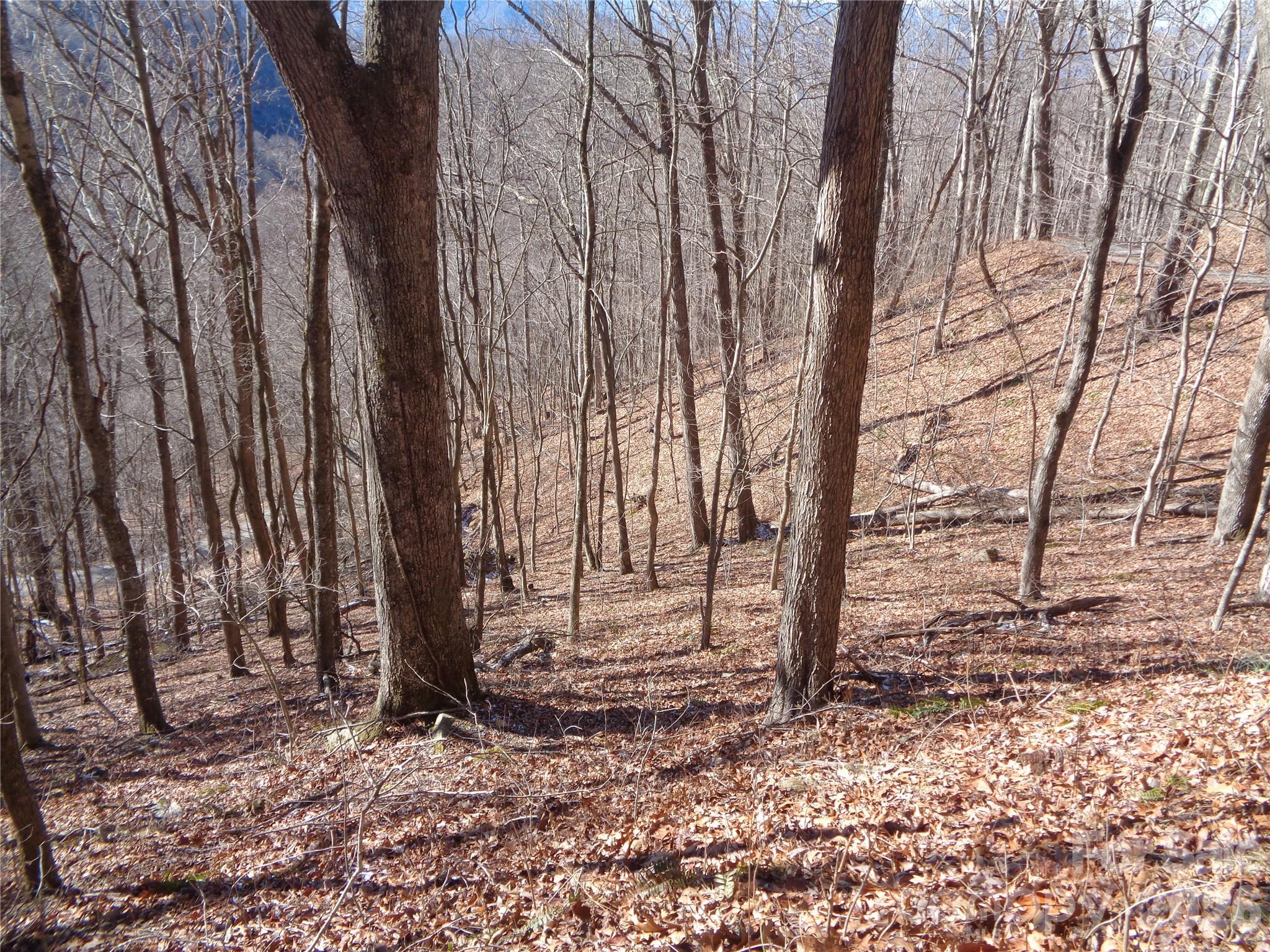 0 Listening Cove, Unit 41 Clyde, NC 28721 - Photo 4 of 11