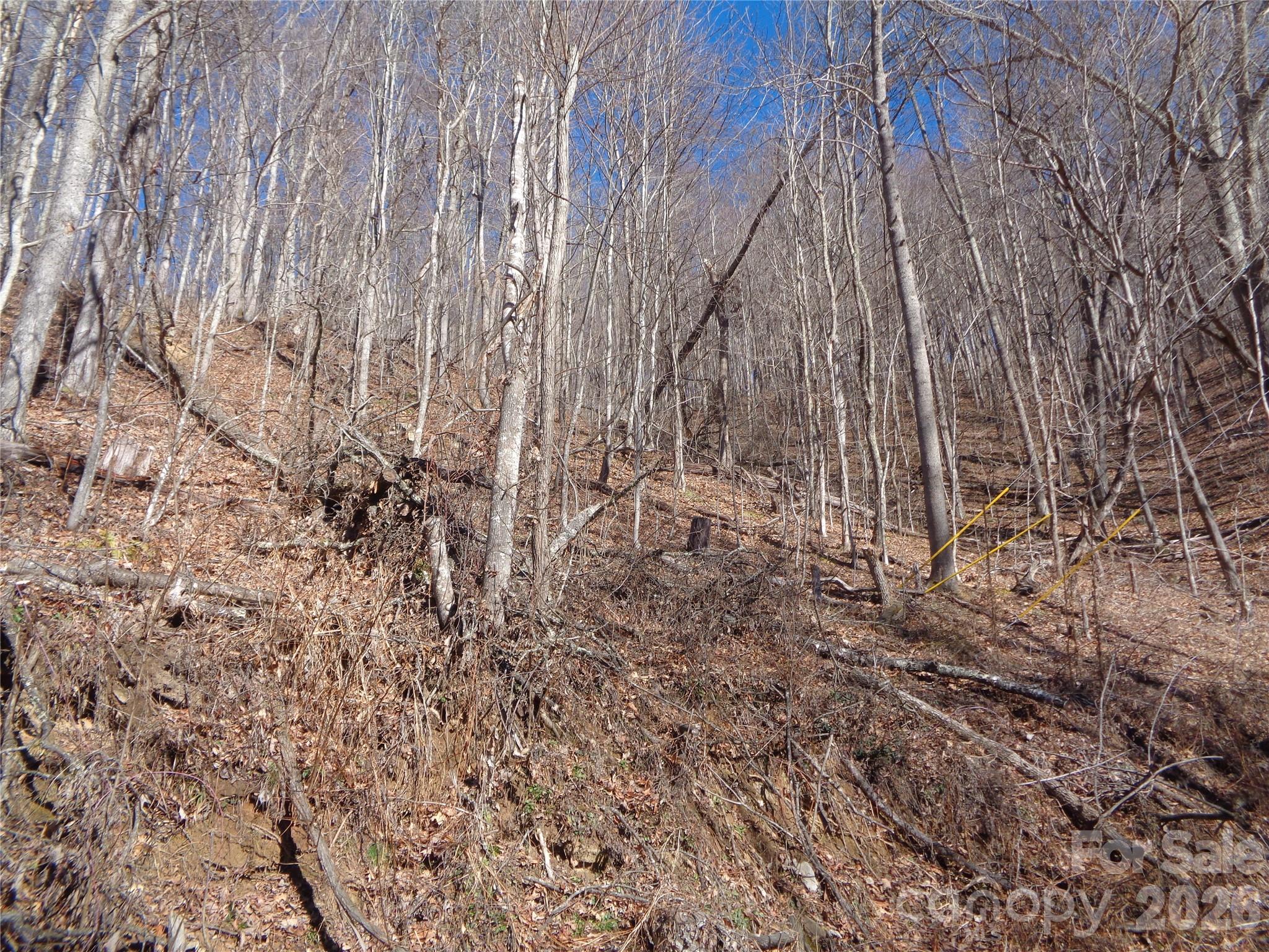 0 Listening Cove, Unit 41 Clyde, NC 28721 - Photo 7 of 11