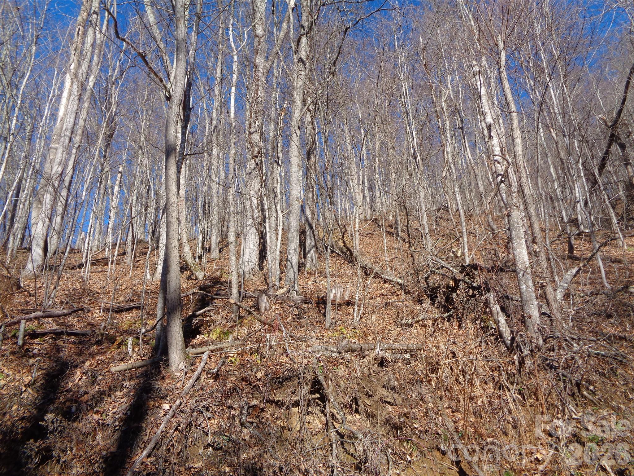 0 Listening Cove, Unit 41 Clyde, NC 28721 - Photo 8 of 11