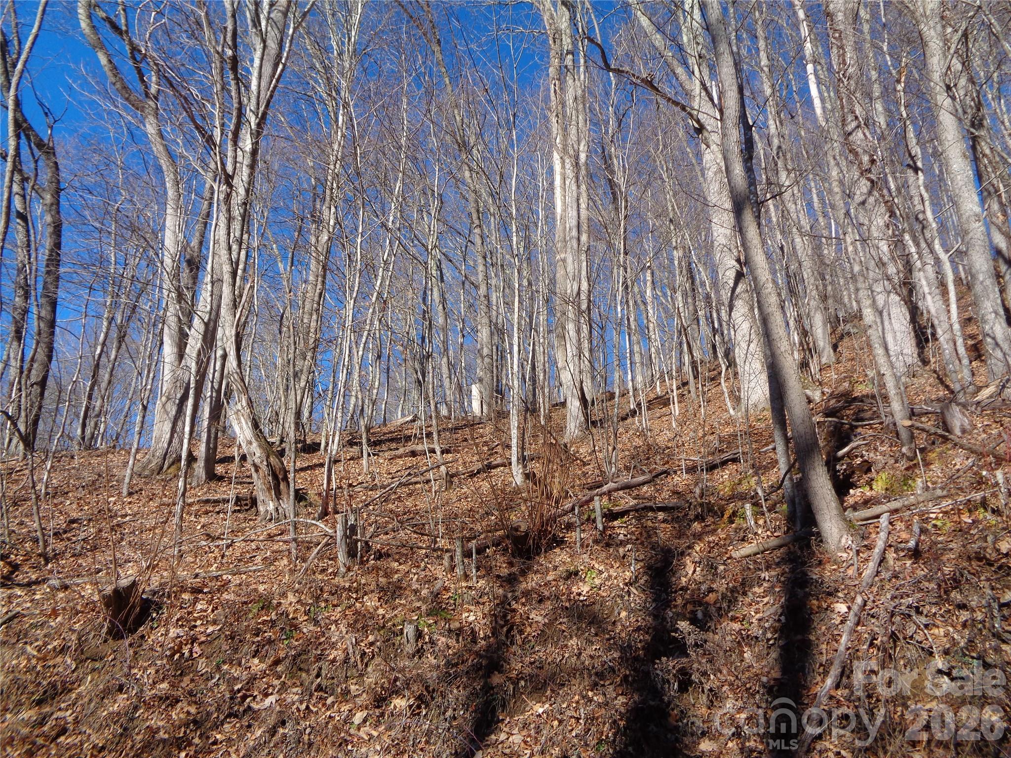 0 Listening Cove, Unit 41 Clyde, NC 28721 - Photo 9 of 11