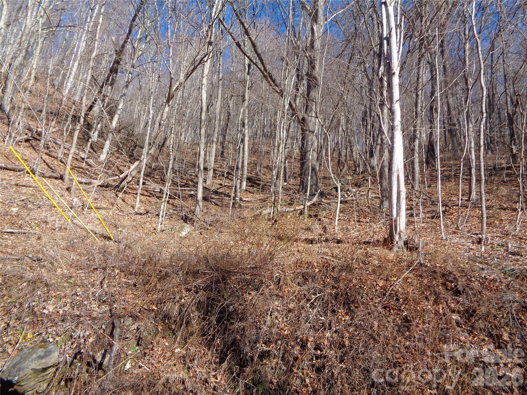 0 Listening Cove, Unit 41 Clyde, NC 28721 - Photo 10 of 11