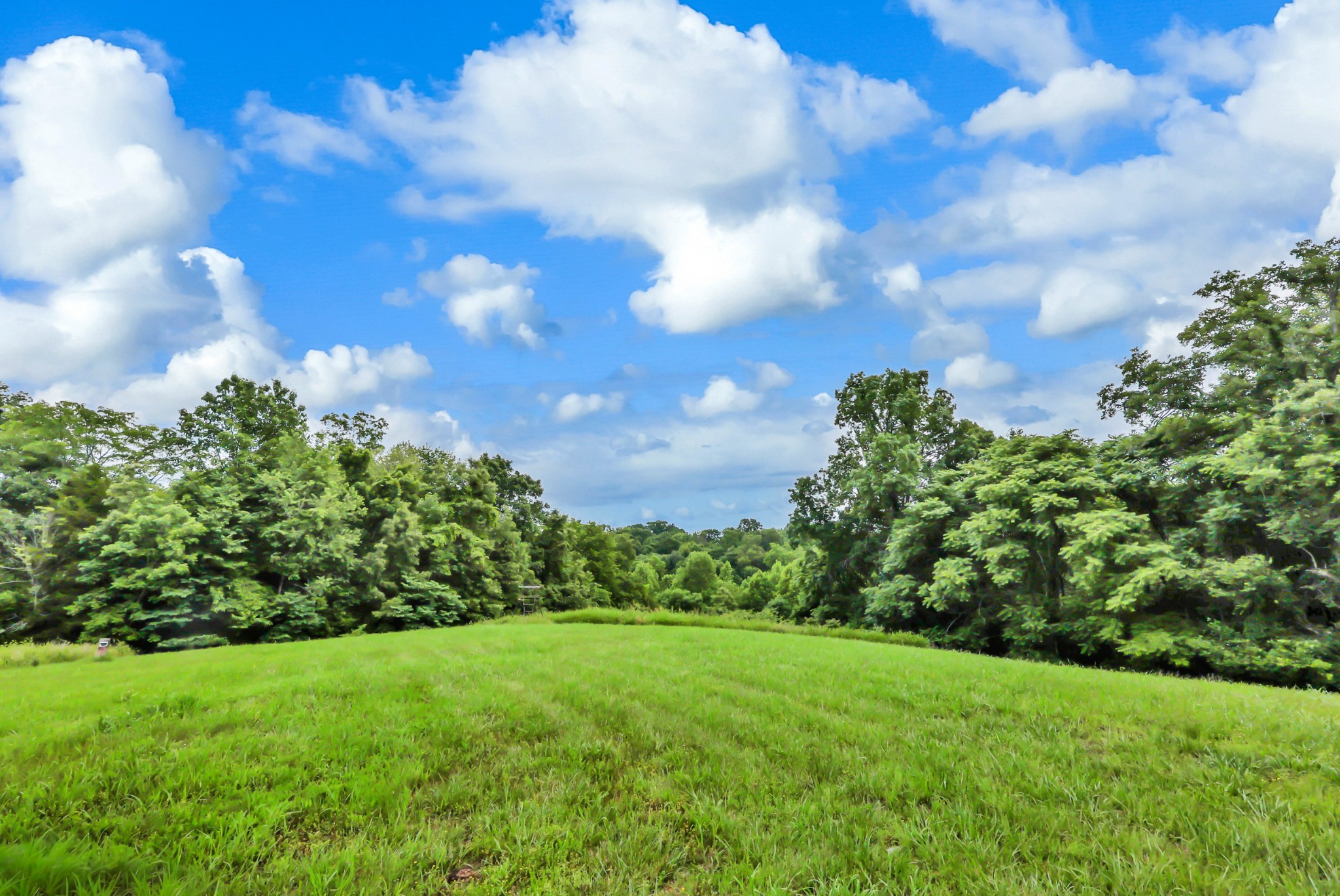 4455 Lylewood Road Indian Mound, TN 37079 - Photo 35 of 41