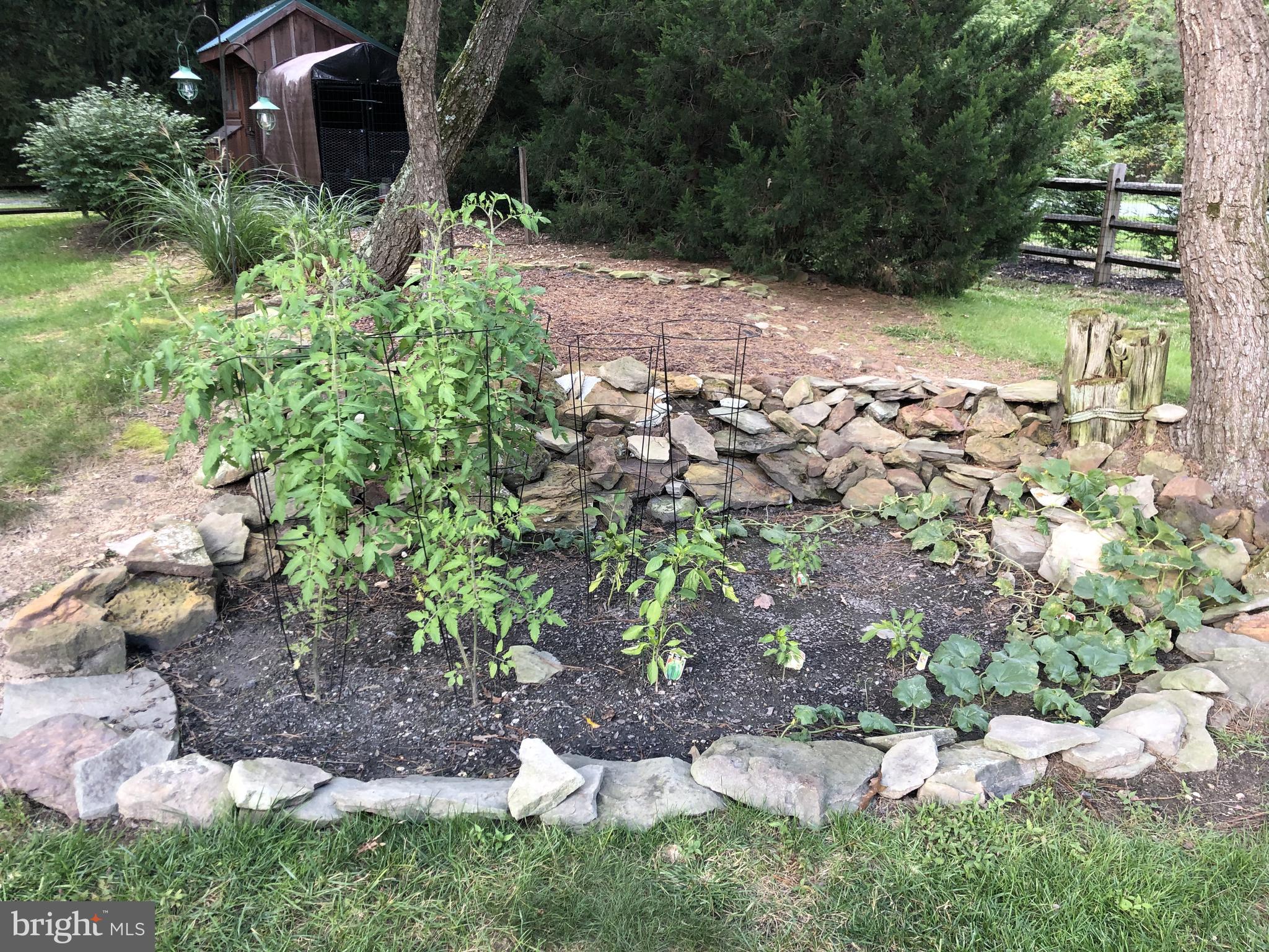 1380 Old Water Oak Point Road Pasadena, MD 21122 - Photo 35 of 41 Garden in Back Yard