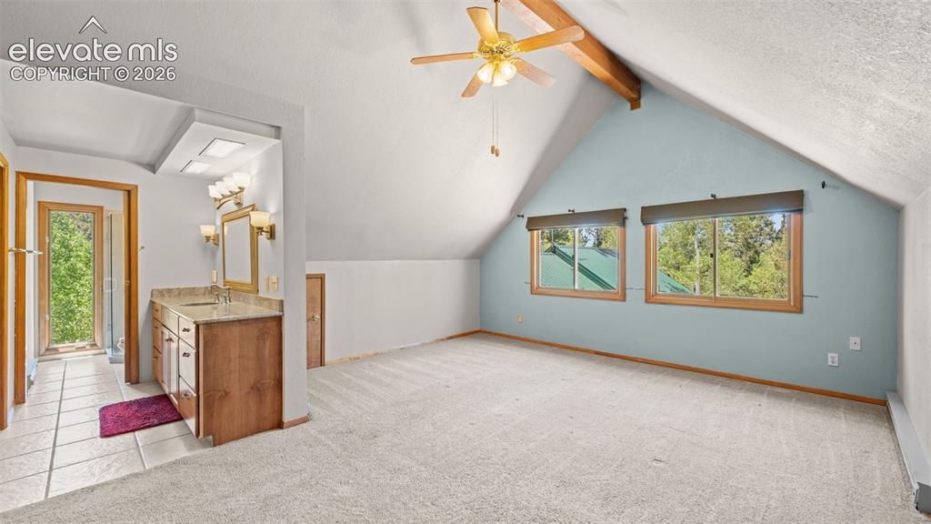 506 Ridge Road Divide, CO 80814 - Photo 17 of 50