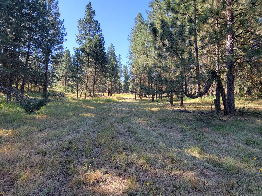 85 East Prospectors Drive, Unit 238 Cascade, ID 83611 - Photo 5 of 13 Septic installed (3 bedroom system)