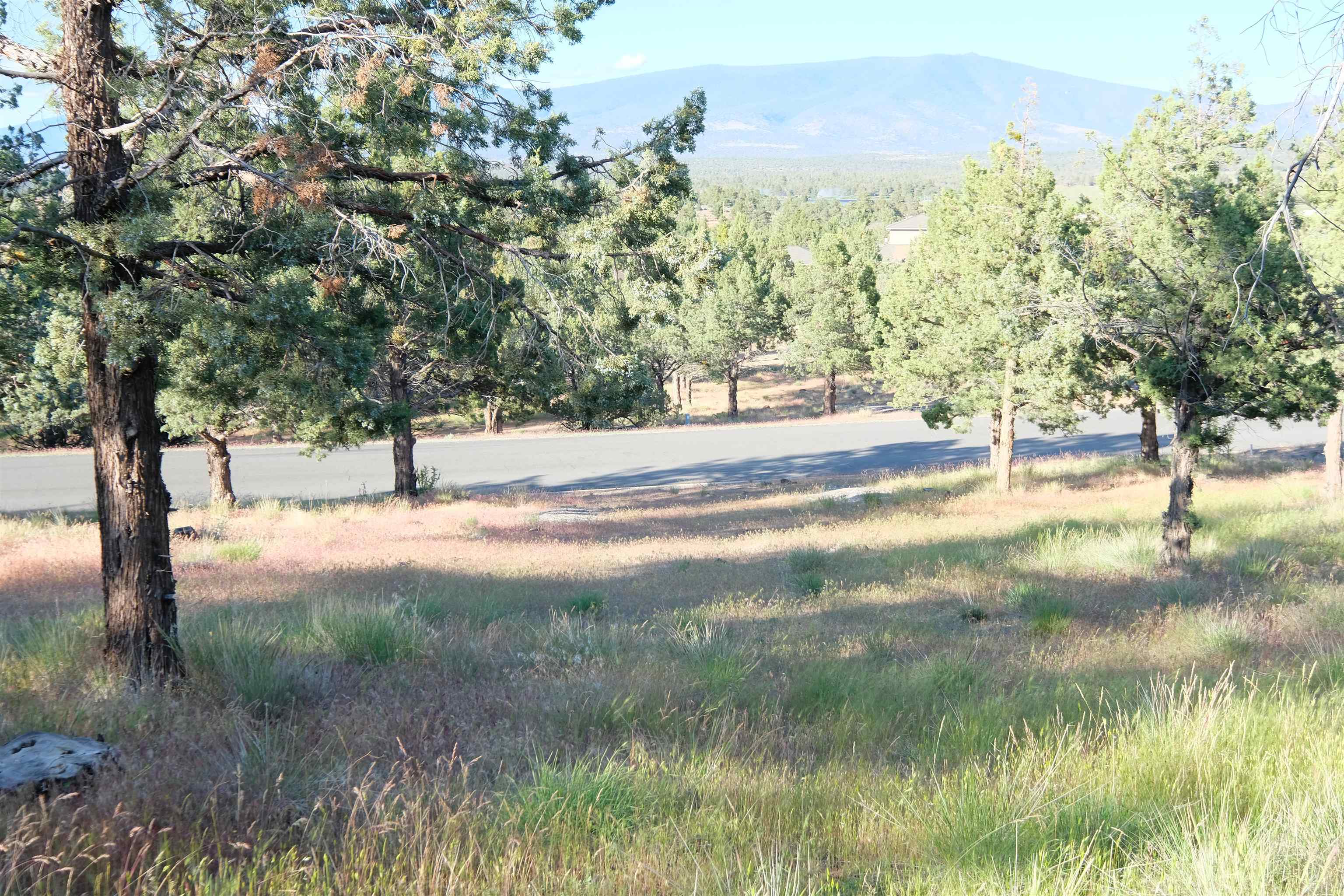 9-1 Unit Road Weed, CA 96094 - Photo 10 of 30 Gallery Image 10