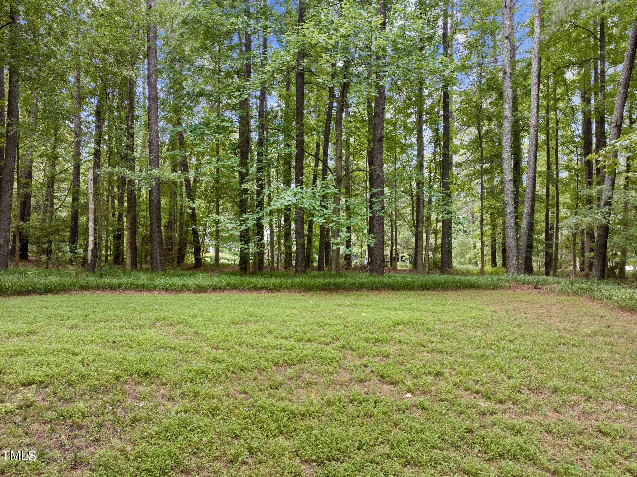 4099 Blackard Pond Road Raleigh, NC 27604 - Photo 11 of 94 Frontyard