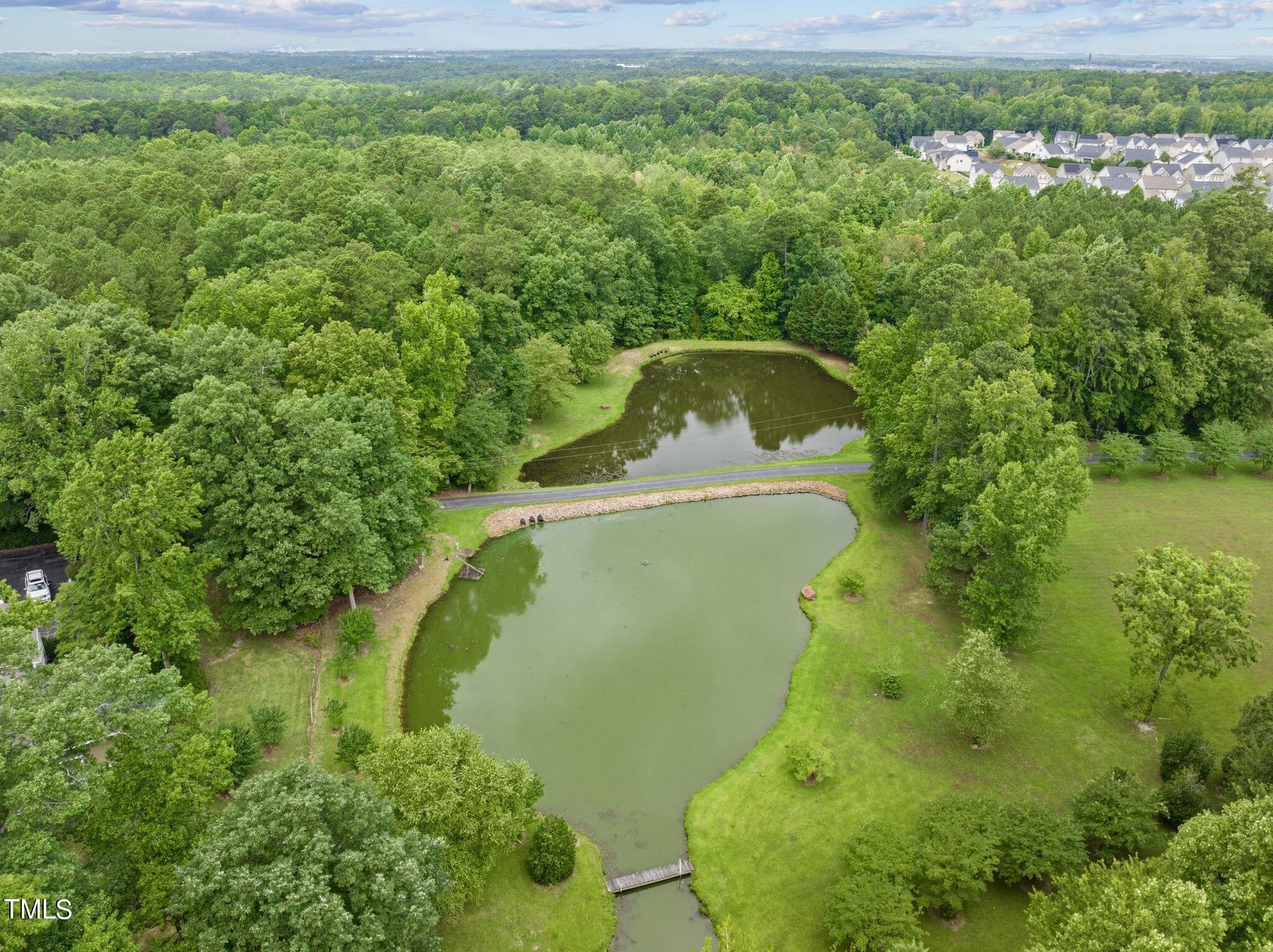 4099 Blackard Pond Road Raleigh, NC 27604 - Photo 93 of 94 Pond Near Property