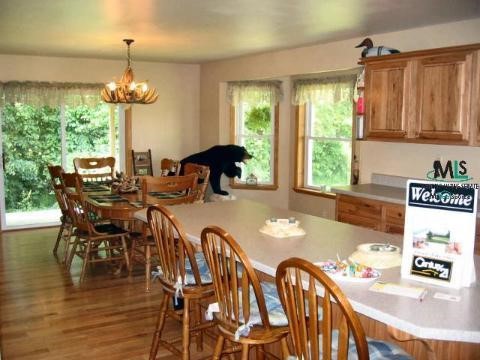 10869 Fisher Road Yale, MI 48097 - Photo 5 of 9 703960-4.JPG
