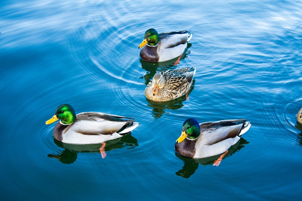24 Cote Lane Sutton, MA 01590 - Photo 7 of 9 a living room with furniture