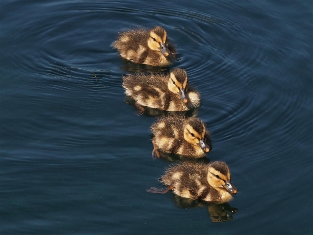 24 Cote Lane Sutton, MA 01590 - Photo 8 of 9 a close view of light fixtures