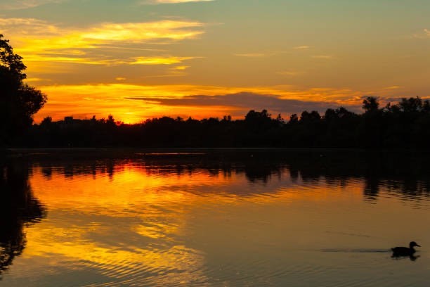 24 Cote Lane Sutton, MA 01590 - Photo 9 of 9 a view of an ocean