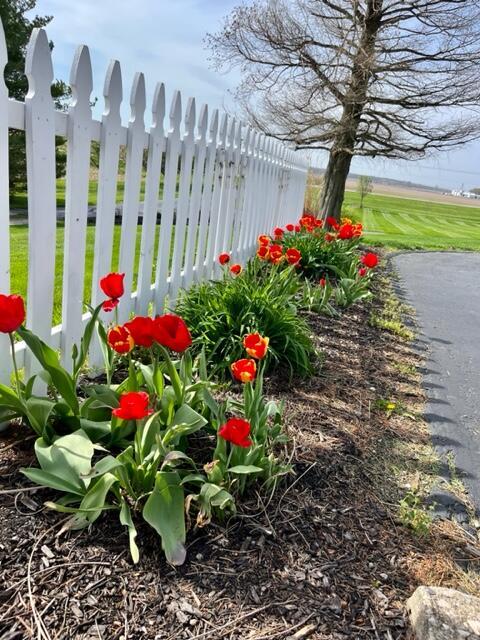 4800 East State Rte 29 Cable, OH 43009 - Photo 9 of 95 tulips