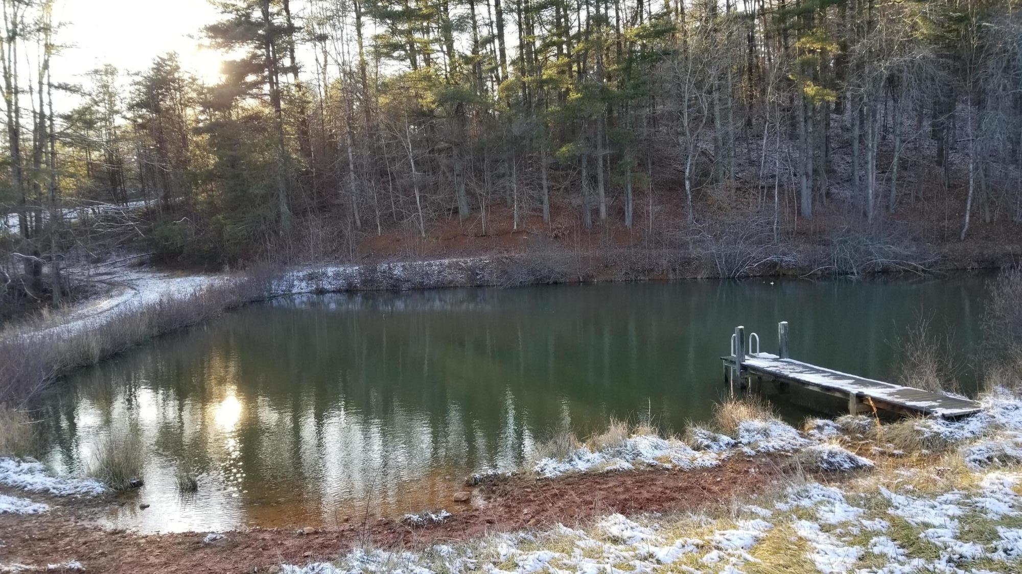 4 Pond