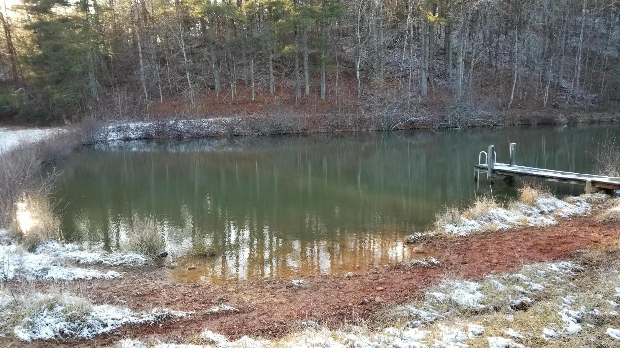 1999 Ingramville Road Ferrum, VA 24088 - Photo 62 of 91 60 Pond