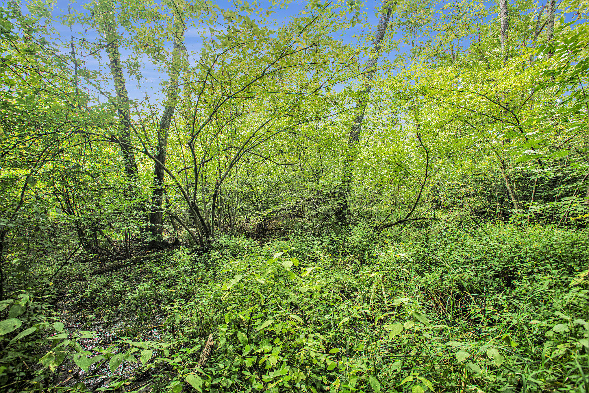 358 County Road Paw Paw, MI 49079 - Photo 12 of 20 013_eosr0092