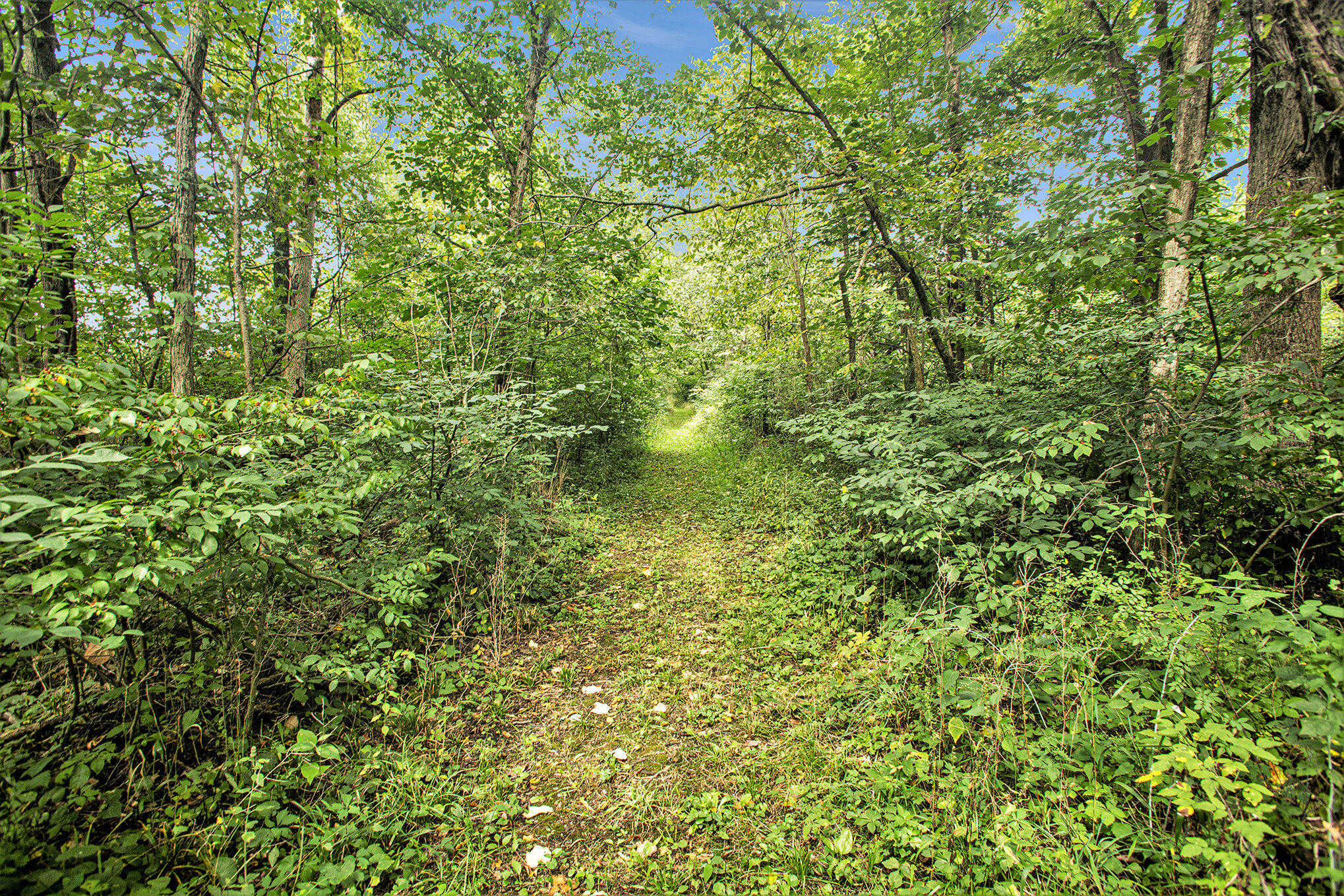 358 County Road Paw Paw, MI 49079 - Photo 13 of 20 014_eosr0093