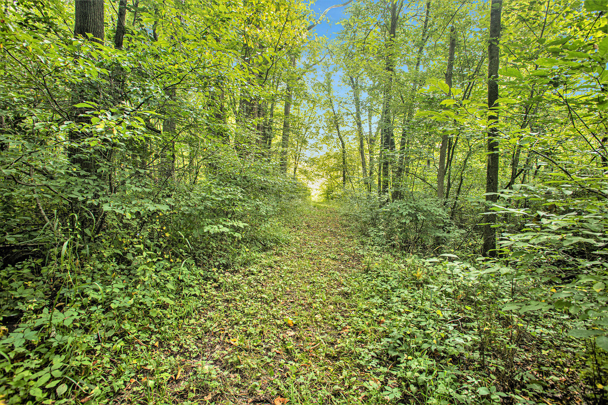 358 County Road Paw Paw, MI 49079 - Photo 14 of 20 015_eosr0094