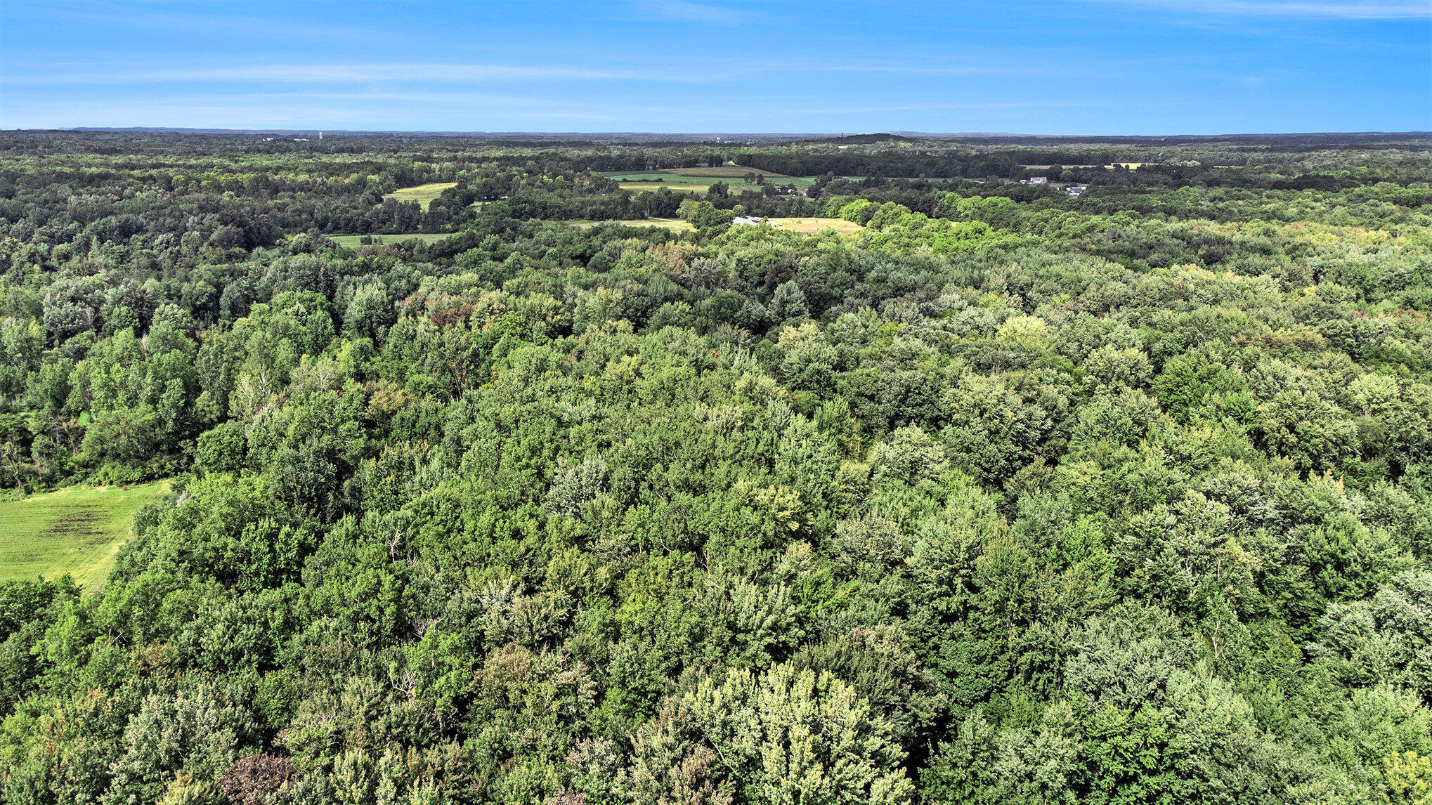 358 County Road Paw Paw, MI 49079 - Photo 15 of 20 016_dji_0220