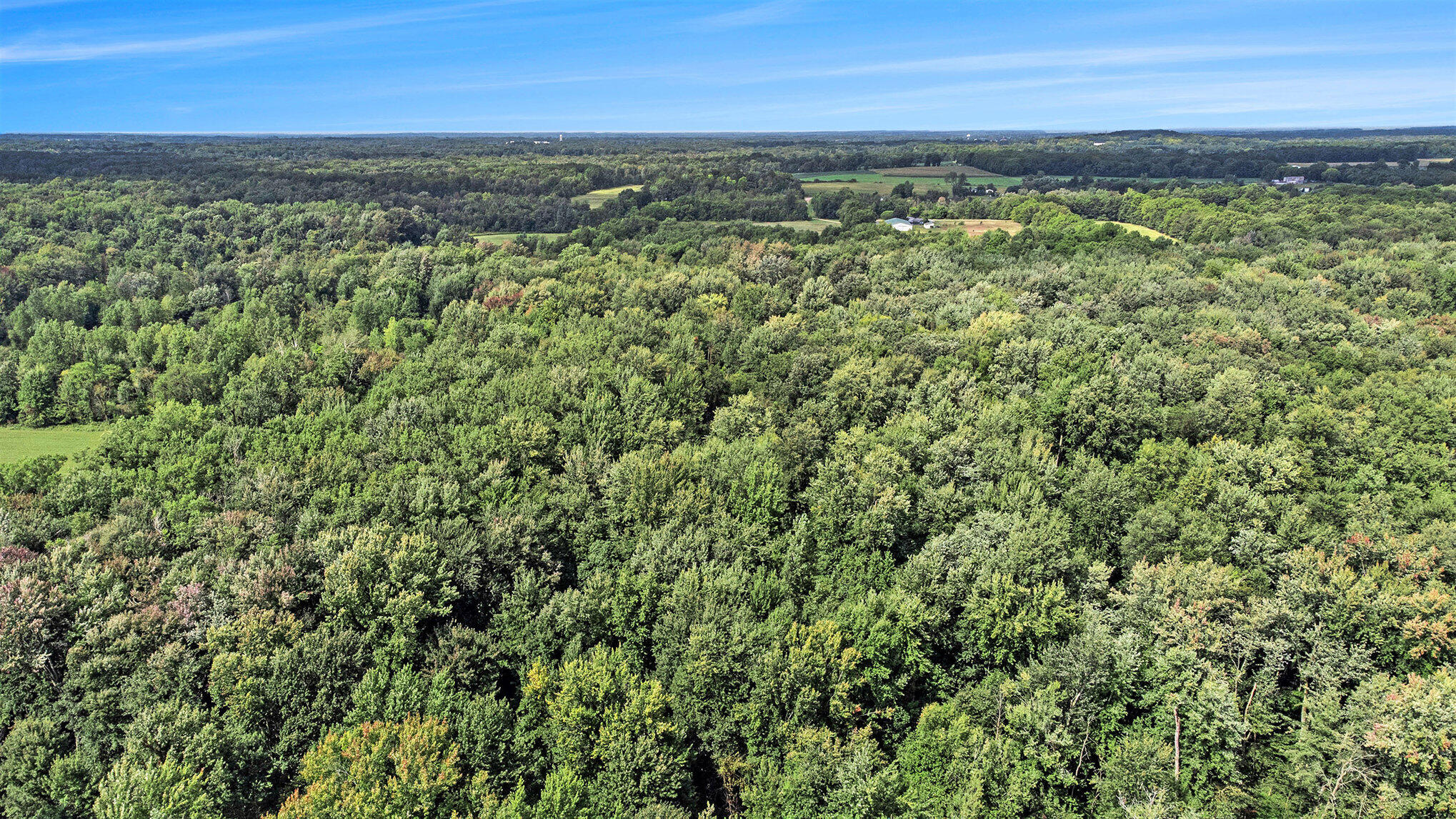 358 County Road Paw Paw, MI 49079 - Photo 17 of 20 018_dji_0222