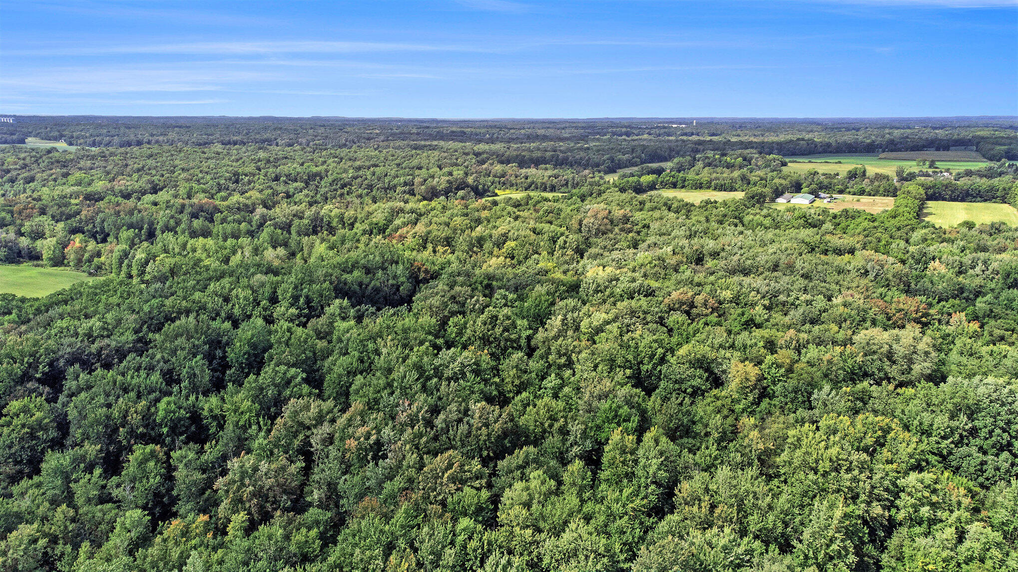 358 County Road Paw Paw, MI 49079 - Photo 18 of 20 019_dji_0225