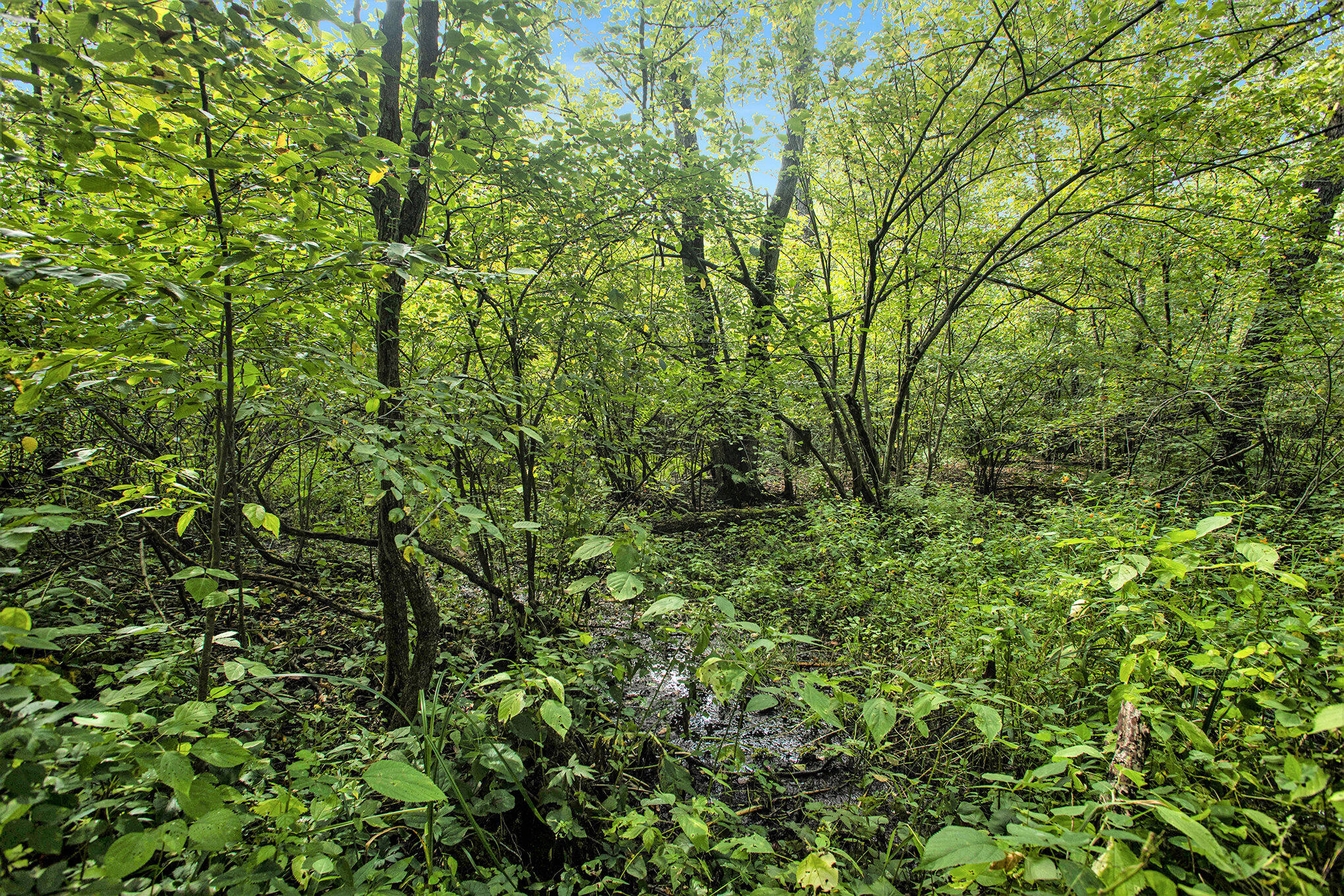 358 County Road Paw Paw, MI 49079 - Photo 8 of 20 009_eosr0087