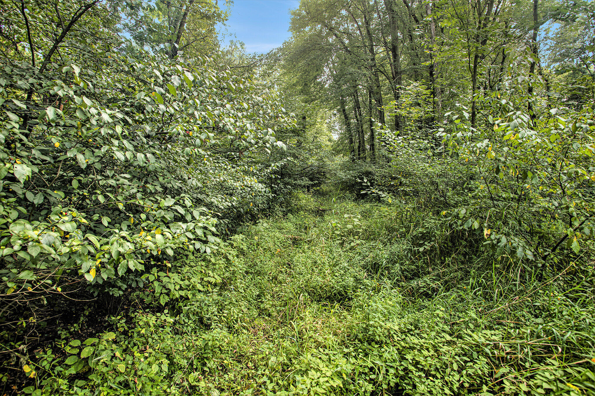 358 County Road Paw Paw, MI 49079 - Photo 9 of 20 010_eosr0089