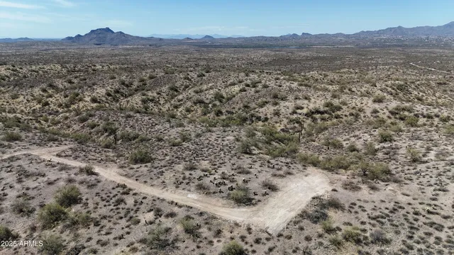 a view of a field with a mountain in the background