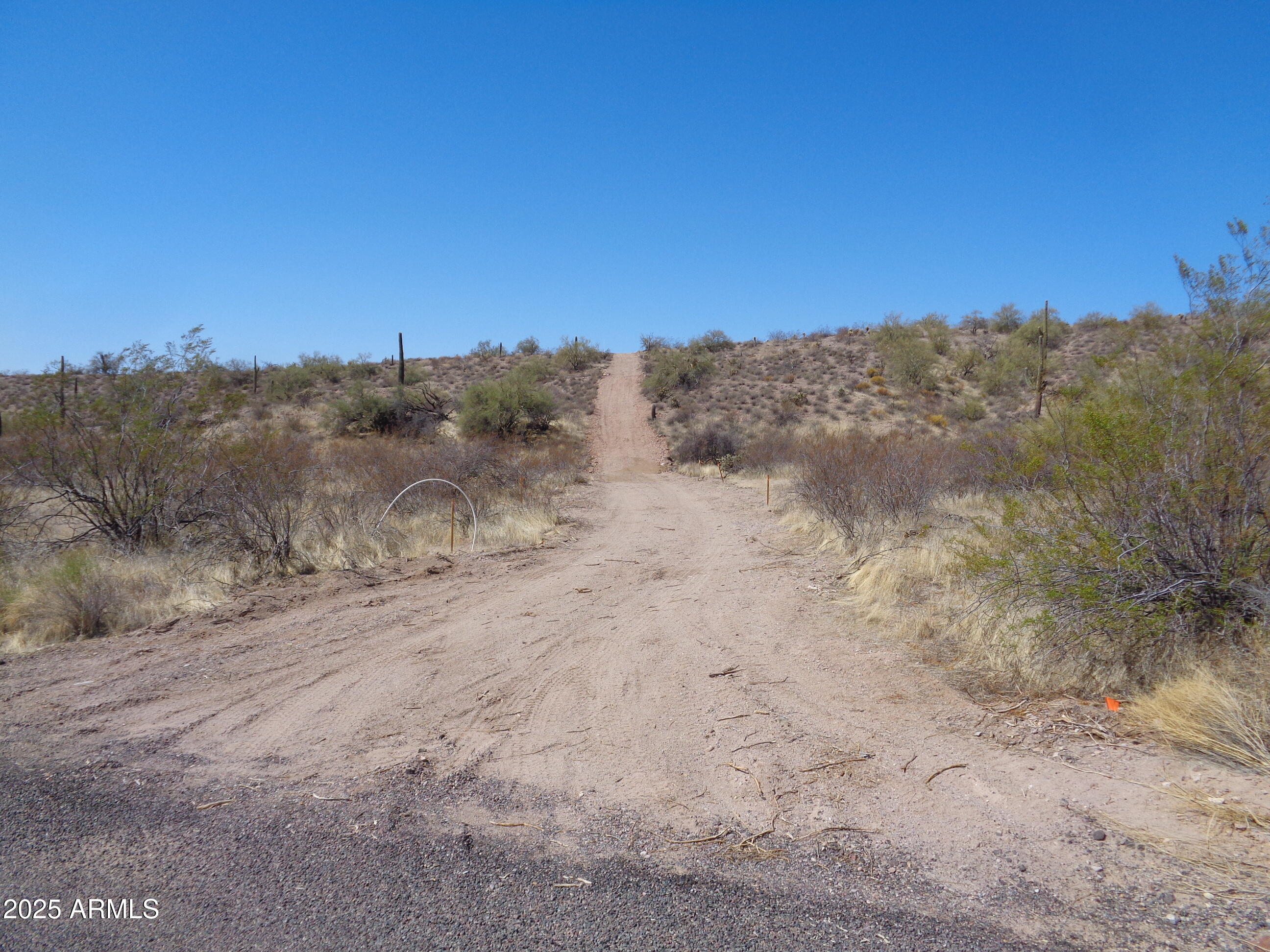Lot 19 East K E Sandy Bluff Road, Unit 19K Fort McDowell, AZ 85264 - Photo 5 of 26 a view of a dry yard with mountains in the background