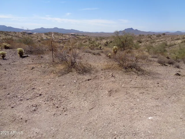 a view of a dry field with mountains in the background