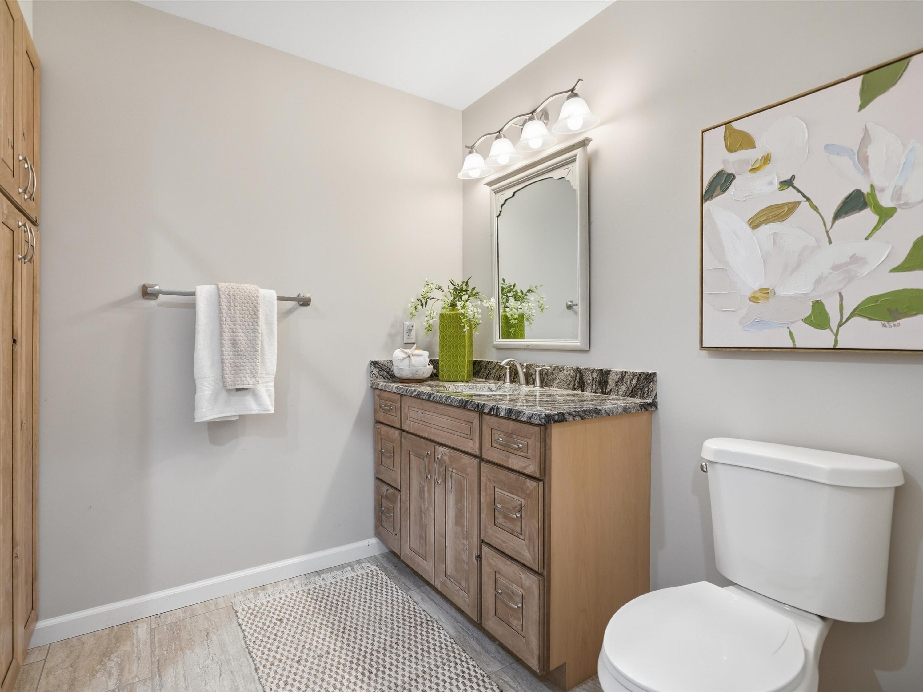 11243 Wynns Road Pinckney, MI 48169 - Photo 19 of 43 Second Bathroom