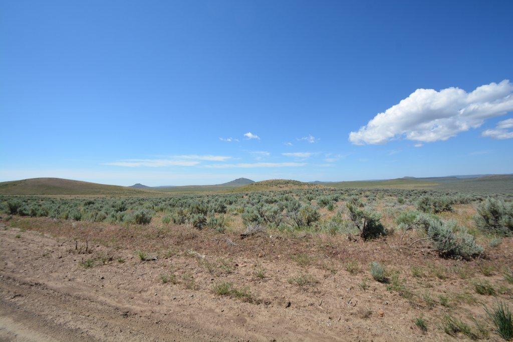 Spud Patch Road Bellevue, ID 83313 - Photo 1 of 1 DSC_9810