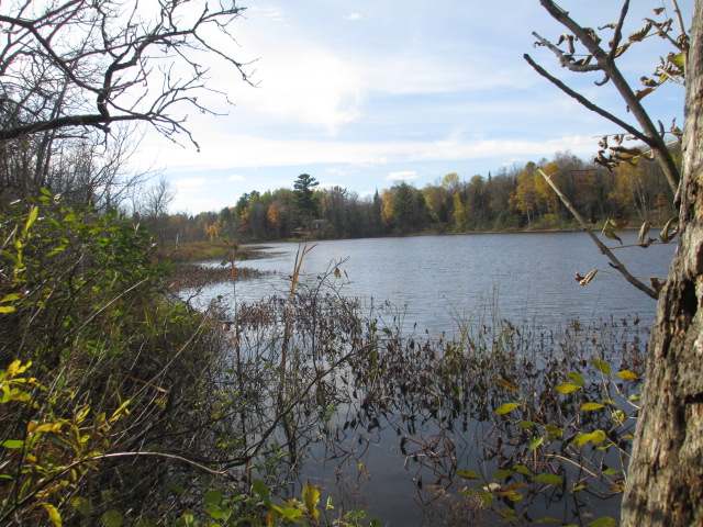 Lot 2 Cth H Mercer, WI 54547 - Photo 1 of 9 Gallery Image 1