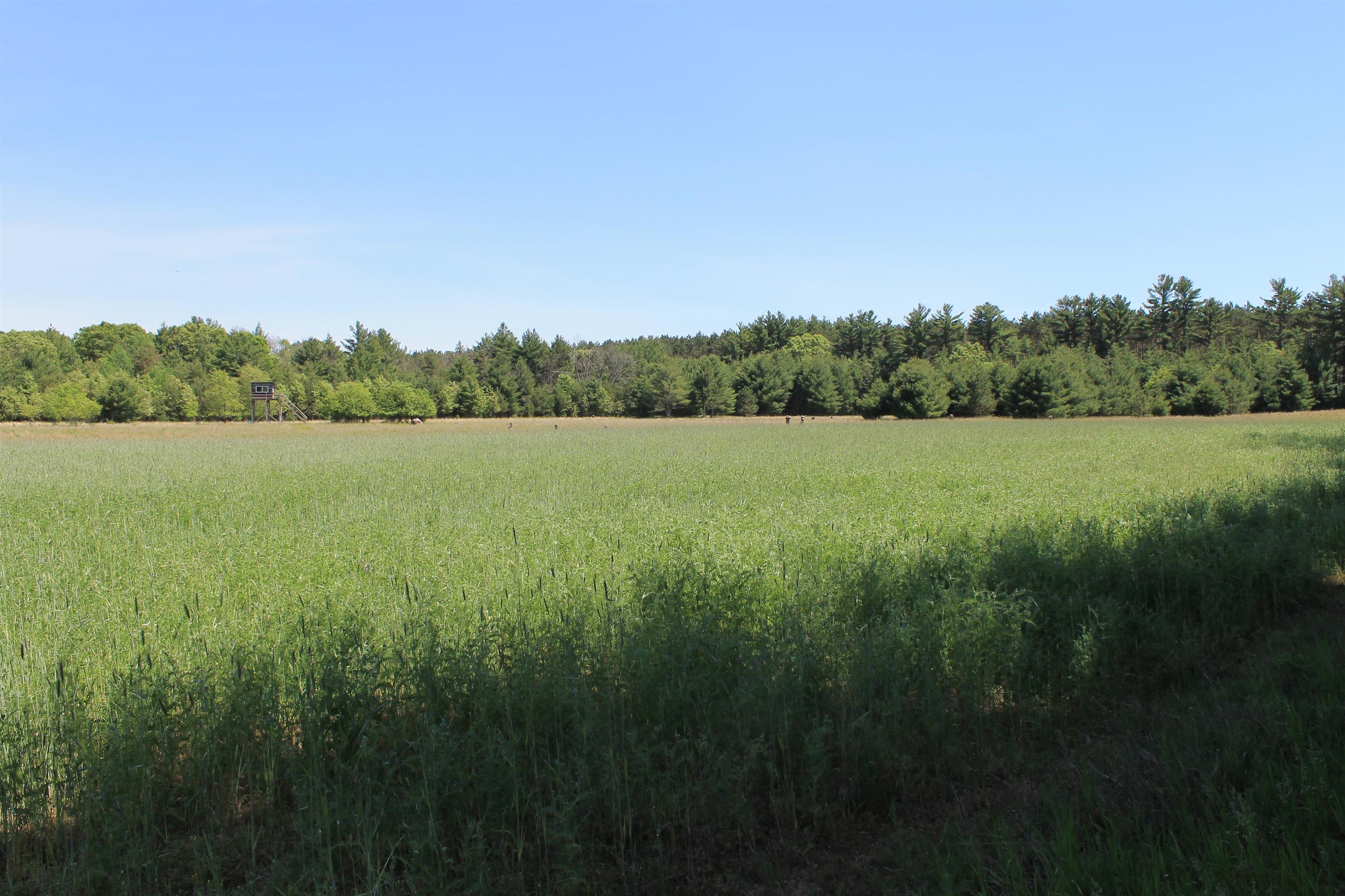 W4301 County Rd A Pine River, WI 54965 - Photo 54 of 62