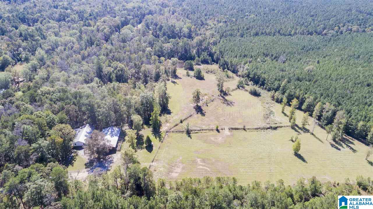 20505 Highway 55 Sterrett, AL 35147 - Photo 6 of 15