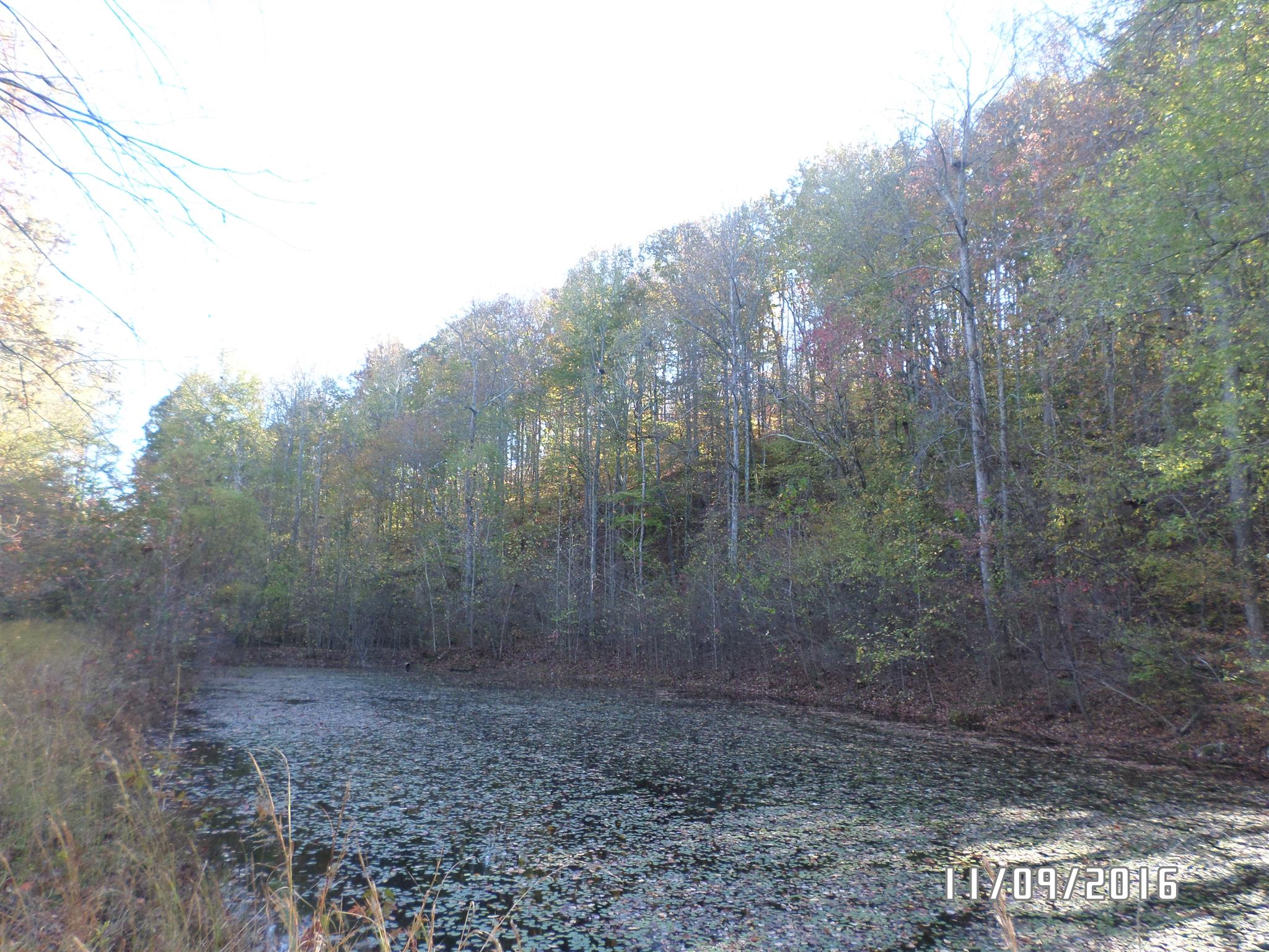199 Meredith Hollow Road Waynesboro, TN 38485 - Photo 1 of 30 Gallery Image 1