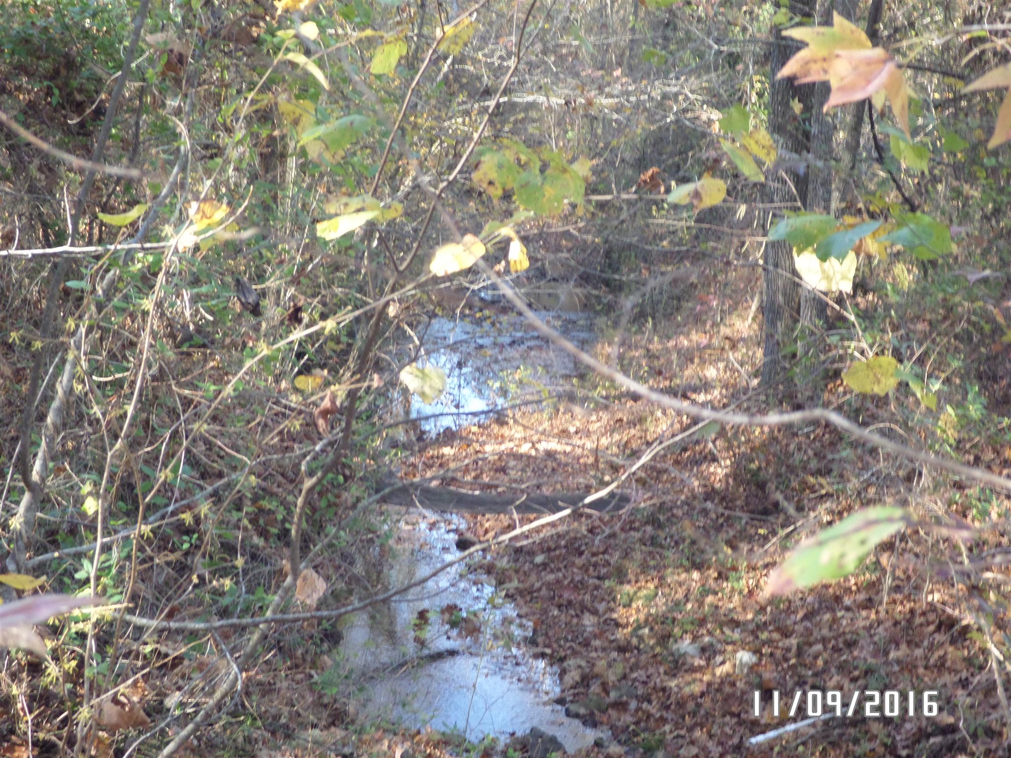 199 Meredith Hollow Road Waynesboro, TN 38485 - Photo 11 of 30 Gallery Image 11