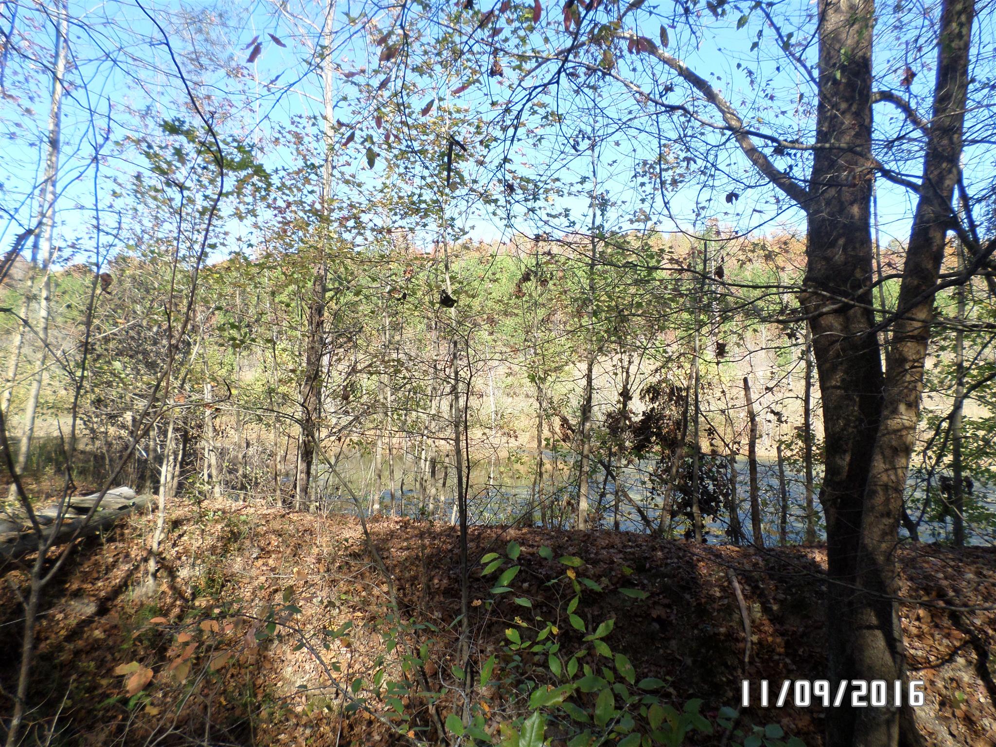 199 Meredith Hollow Road Waynesboro, TN 38485 - Photo 12 of 30 Gallery Image 12