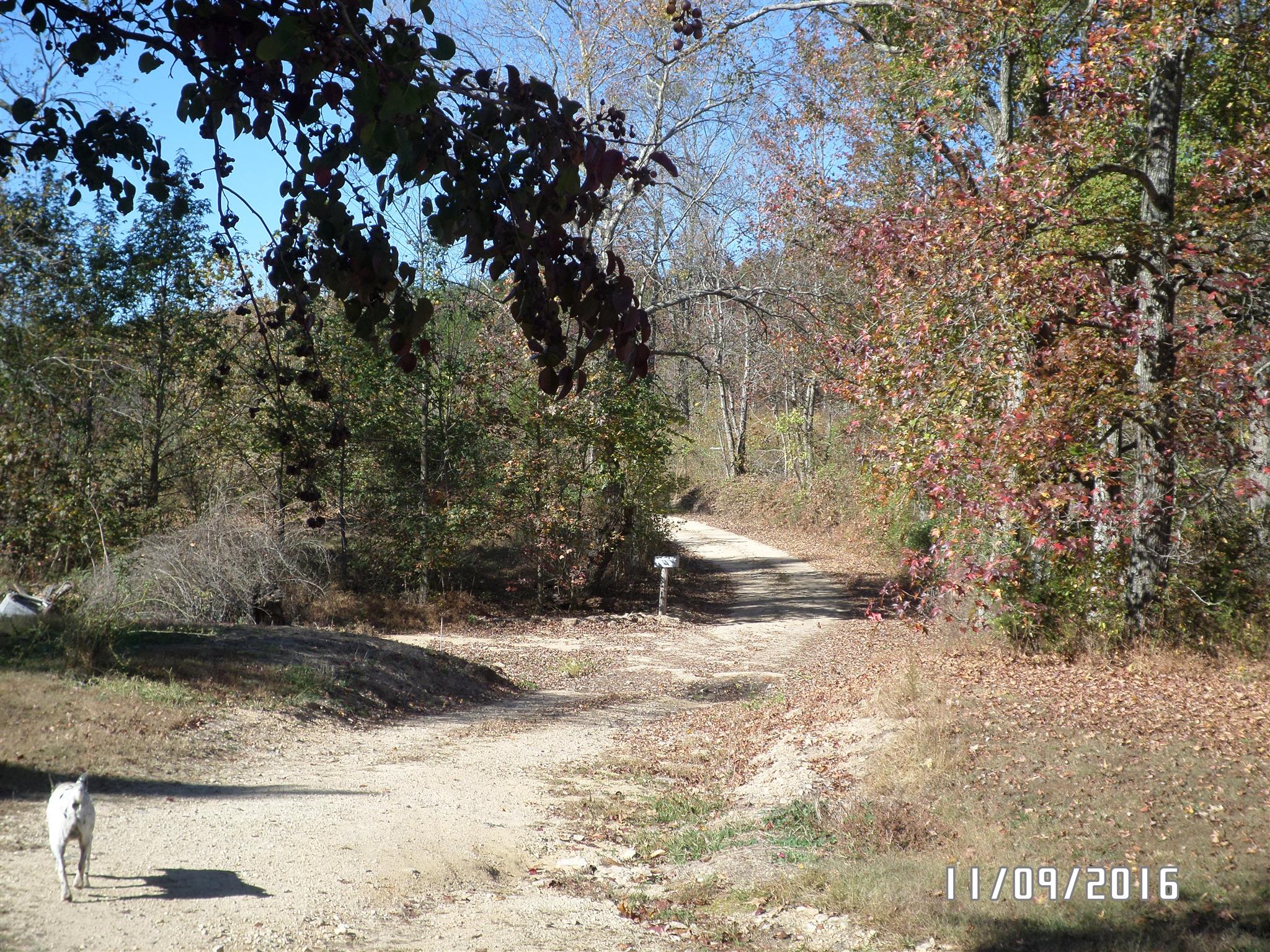 199 Meredith Hollow Road Waynesboro, TN 38485 - Photo 16 of 30 Gallery Image 16
