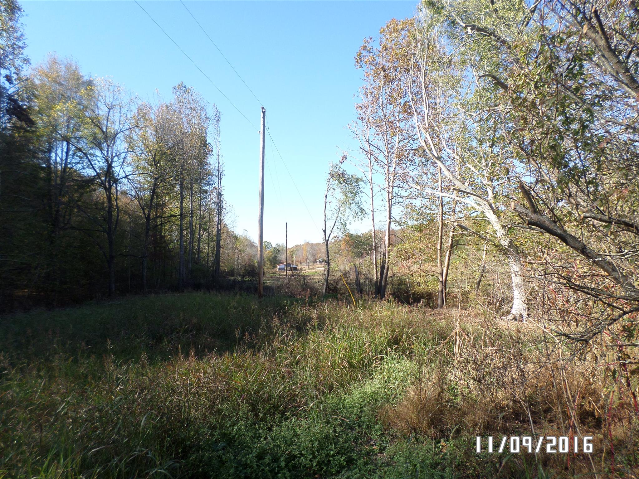 199 Meredith Hollow Road Waynesboro, TN 38485 - Photo 19 of 30 Gallery Image 19