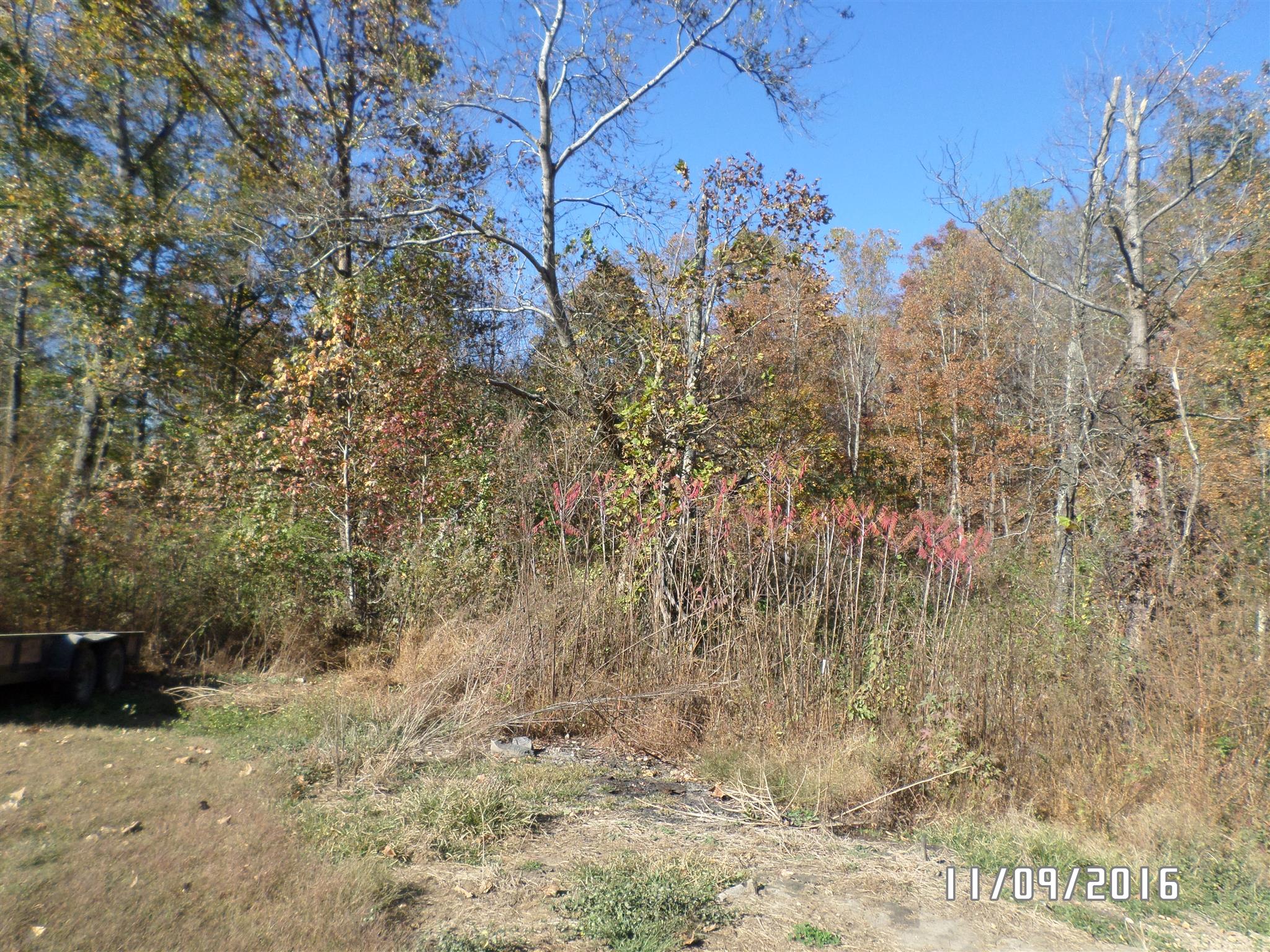 199 Meredith Hollow Road Waynesboro, TN 38485 - Photo 20 of 30 Gallery Image 20