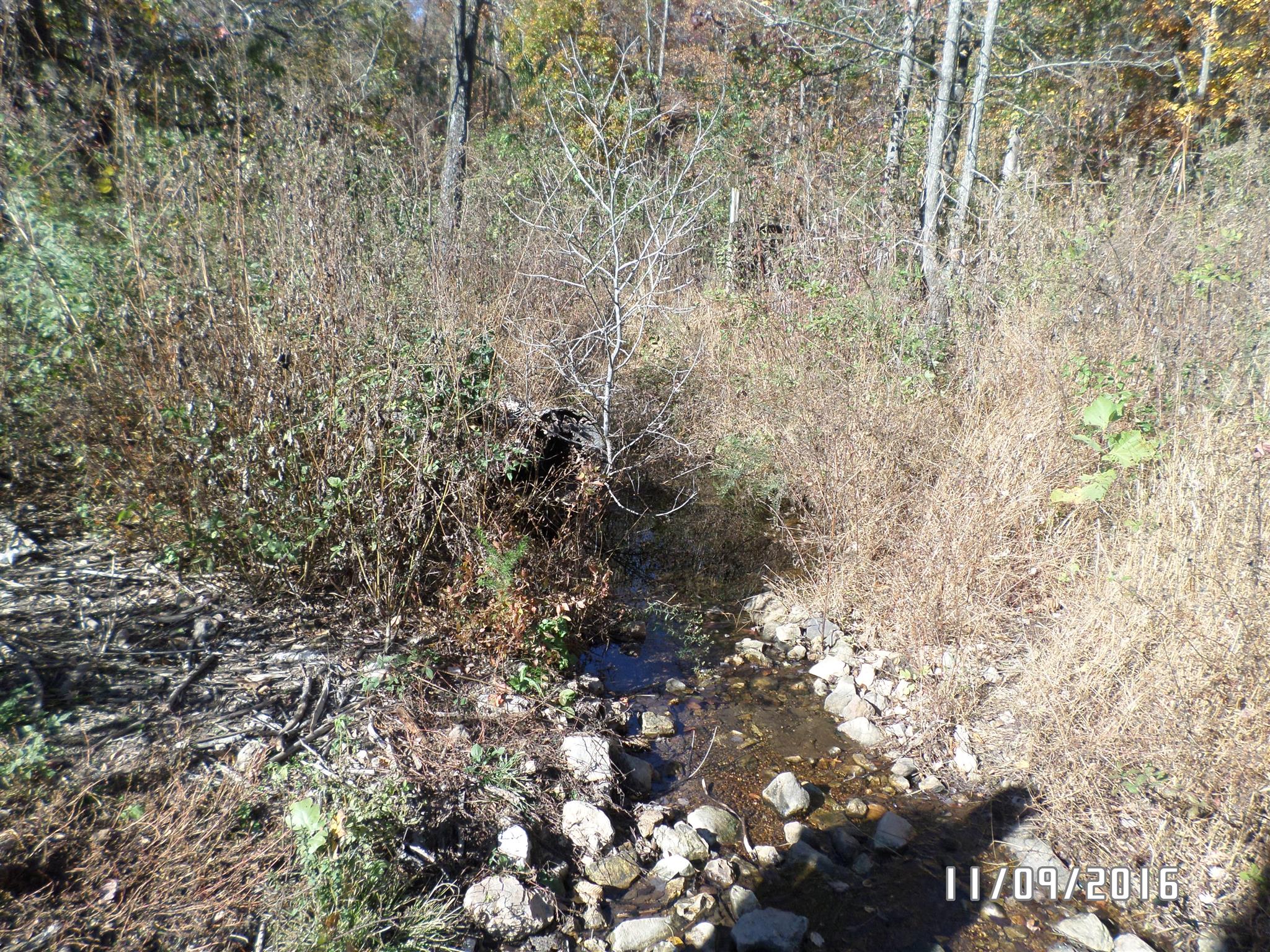 199 Meredith Hollow Road Waynesboro, TN 38485 - Photo 24 of 30 Gallery Image 24