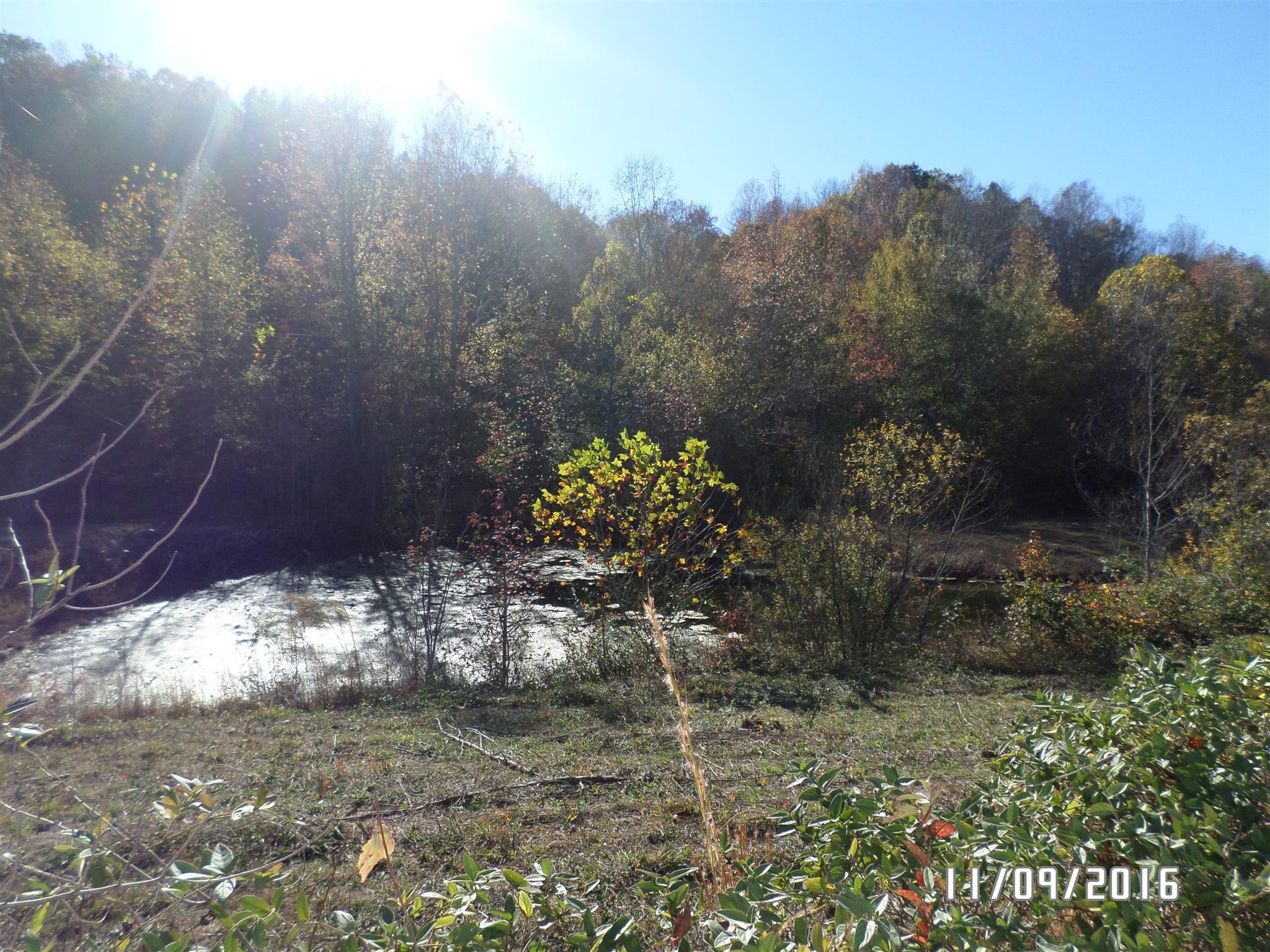 199 Meredith Hollow Road Waynesboro, TN 38485 - Photo 26 of 30 Gallery Image 26
