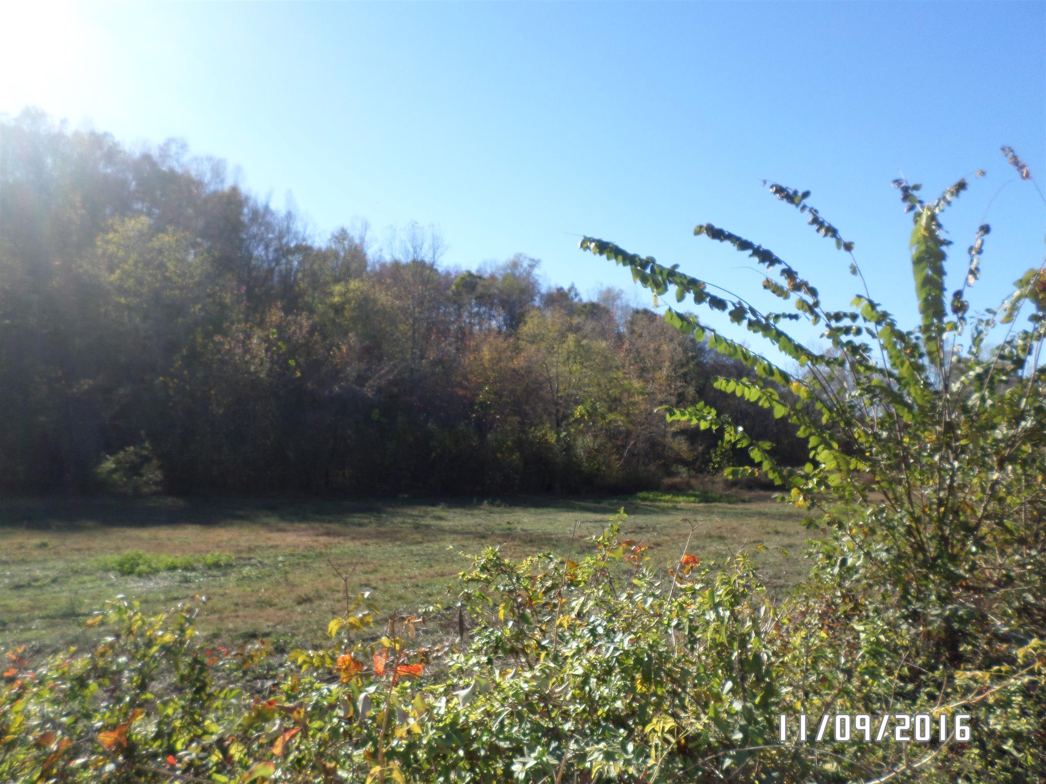 199 Meredith Hollow Road Waynesboro, TN 38485 - Photo 29 of 30 Gallery Image 29